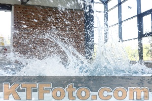 Photo 4226490