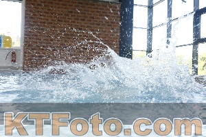 Photo 4226492
