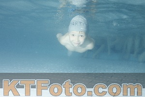 Photo 4226520