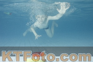 Photo 4226545