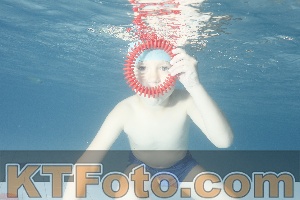 Photo 4226555