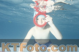 Photo 4226556