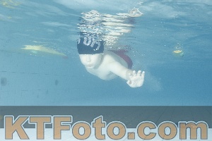 Photo 4226559