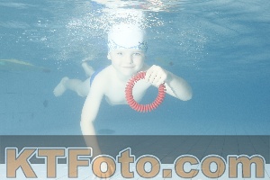 Photo 4226570