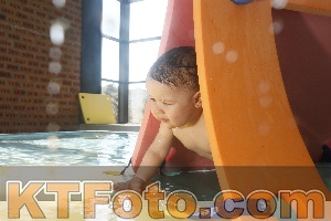 Photo 4226656