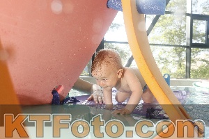 Photo 4226658
