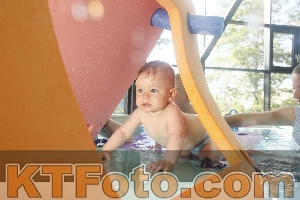 Photo 4226662