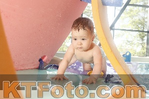 Photo 4226669