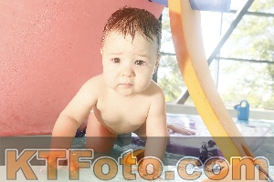 Photo 4226670