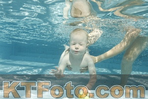 Photo 4226674