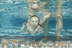 Photo 4226676