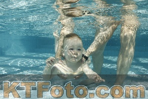 Photo 4226677