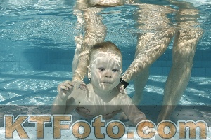 Photo 4226678