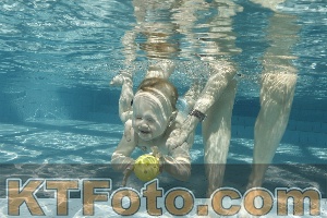 Photo 4226680