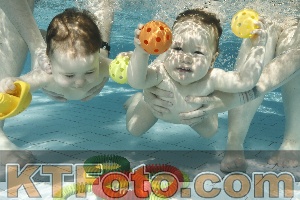 Photo 4226681