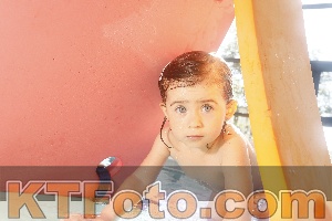 Foto 4226794
