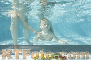 Foto 4226832