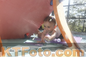 Photo 4226941