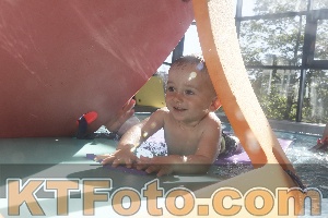 Photo 4226942