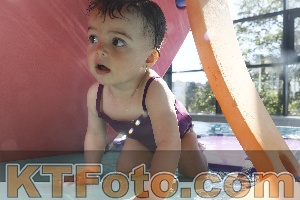Photo 4226946