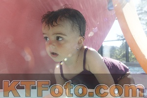 Photo 4226947