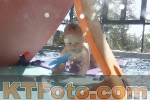 Photo 4226949
