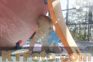 Photo 4226950