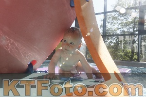 Photo 4226951