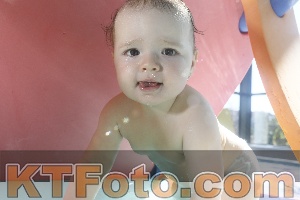 Photo 4226961