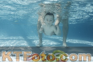 Photo 4226989