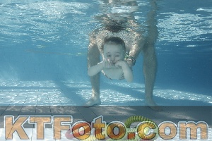 Photo 4226990