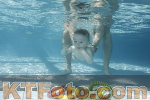 Photo 4226991