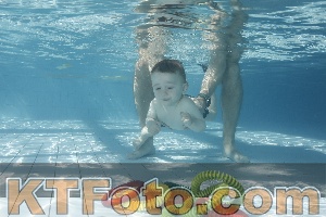 Photo 4226992
