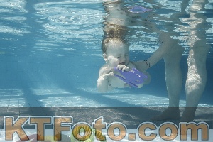 Photo 4226993