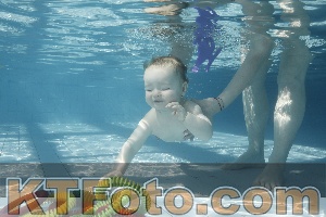 Photo 4226994