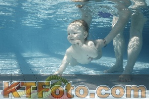 Photo 4226995