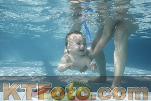Foto 4227002