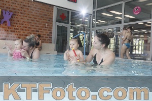 Photo 4227039
