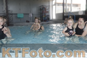 Photo 4227046