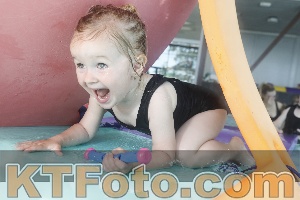 Foto 4227112