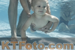 Foto 4227152