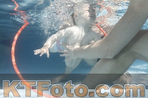 Foto 4227182