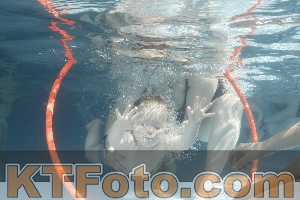 Foto 4227183