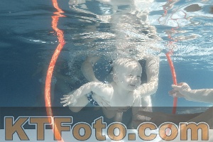 Foto 4227184