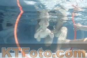 Foto 4227186