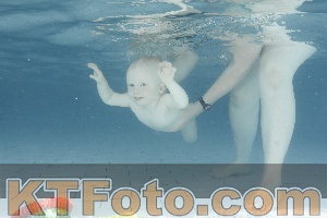 Foto 4227271