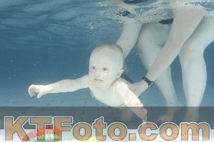 Foto 4227273