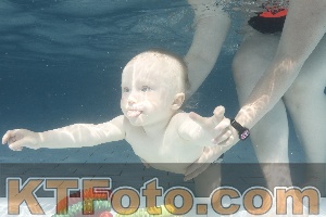 Foto 4227274