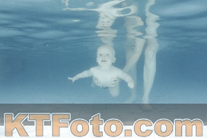 Foto 4227279