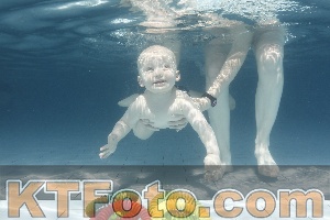 Photo 4227281